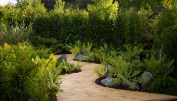 Москвичей пригласили на фестиваль исторических садов в &laquo;Царицыне&raquo; этим летом