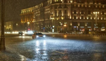 До 18 мм осадков выпало в отдельных районах Москвы за ночь