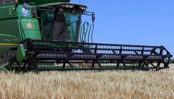 Эксперт назвал ударом для Украины перебои в поставках сельхозпродукции