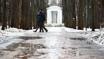 Апогей экстремального потепления: воздух в Москве прогреется до плюс 8 градусов