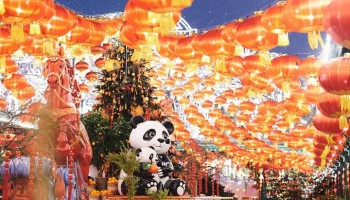 Фестиваль "Китайский Новый год в Москве" объединит более 60 площадок