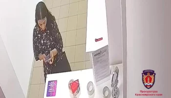 Жительница Красноярска обманула Wildberries на 1,2 миллиона рублей