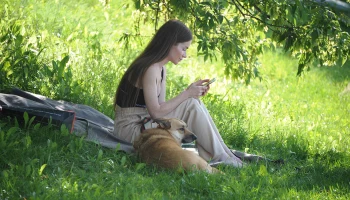 Бабье лето уже здесь? Какая погода ожидается в Москве в первой половине сентября