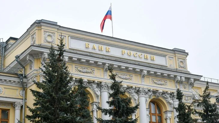 В ЦБ поддержали введение уголовной ответственности за дропперство
