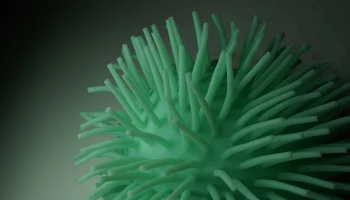 Самый длительный случай заражения коронавирусом выявили в России