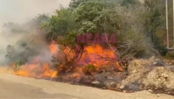 500 человек эвакуированы из-за пожара в районе Дюрсо