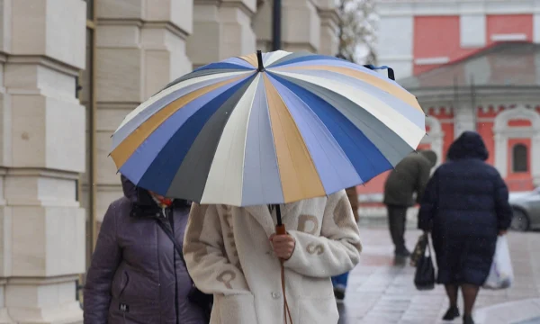 Синоптики сообщили о пасмурной и дождливой погоде в Москве 18 апреля
