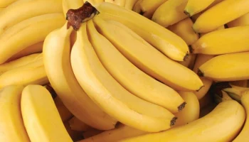 В Росстандарте опровергли запрет на ввоз бананов короче 14 см по новому ГОСТу