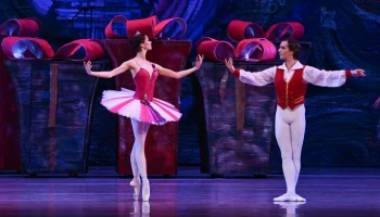 Максимальная ставка за два билета на "Щелкунчика" составила 250 тыс рублей