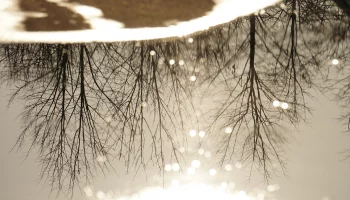 Синоптики пообещали москвичам облачную погоду 18 марта