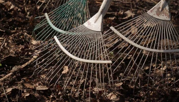 Собянин: Общегородские субботники пройдут в Москве 13 и 20 апреля