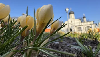 Московский планетарий объявил о приходе весны в Россию с точностью до минуты