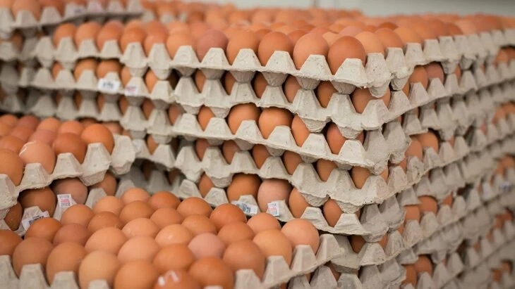 Минсельхоз России заявил о стабильной ситуации с ценами на яйца в магазинах