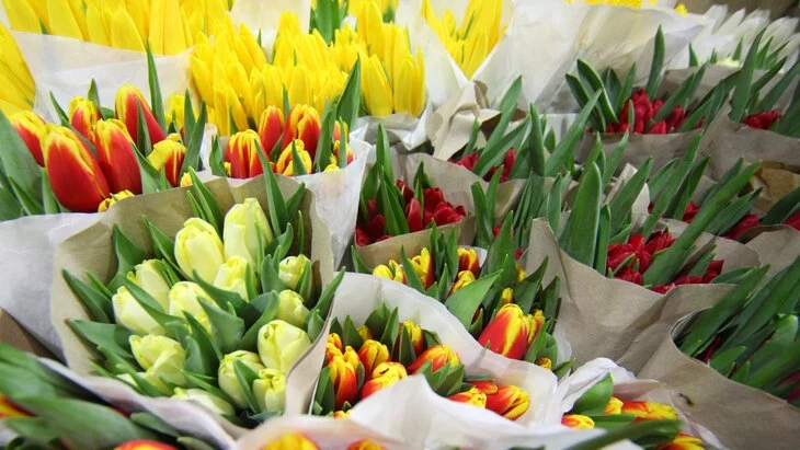 "КамАЗ" с тюльпанами почти на 3 млн рублей украли в Подмосковье