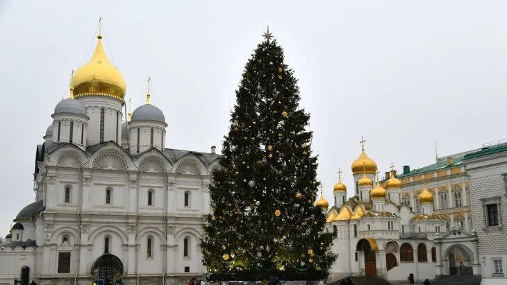 Главную новогоднюю елку страны привезут в Кремль 10 декабря Главную новогоднюю елку страны привезут в Кремль 10 декабря