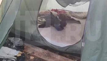 Появились кадры из палатки на Алтае, откуда медведь вытащил 29-летнюю сотрудницу МЧС