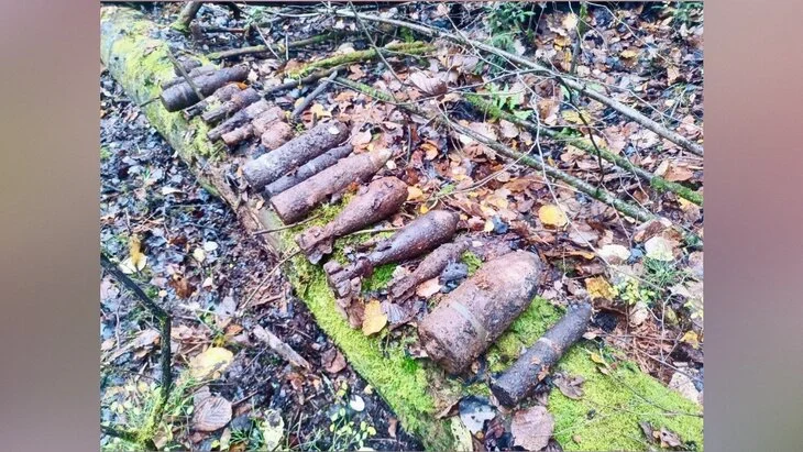 Семнадцать снарядов времен ВОВ были ликвидированы в Подмосковье Семнадцать снарядов времен ВОВ были ликвидированы в Подмосковье