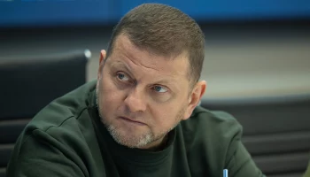 Украинский политик Тука: Зеленский решил уволить главкома ВСУ Залужного