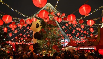 От гастрономических открытий до встречи с Дедом Морозом: как встретить каникулы с пользой и удовольс