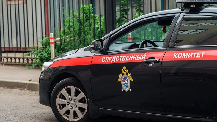 СК предъявил обвинение напавшему на столичных полицейских мужчине СК предъявил обвинение напавшему на столичных полицейских мужчине