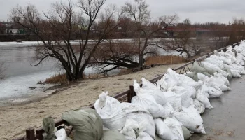 Вода в Тоболе в курганском селе Звериноголовском за 4 часа прибыла на 19 см