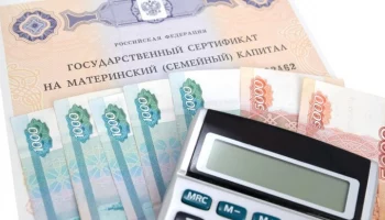 В МВД России назвали ущерб от хищений маткапитала на неродившихся детей