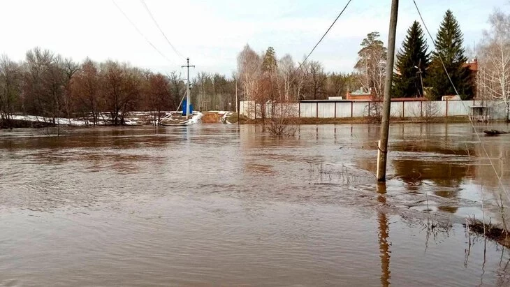 Железобетонный мост смыло течением в нацпарке "Бузулукский бор" в Оренбуржье Железобетонный мост смыло течением в нацпарке "Бузулукский бор" в Оренбуржье