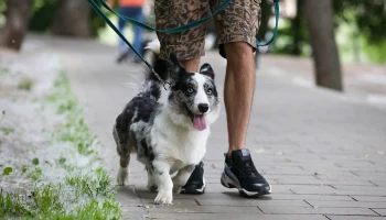 &laquo;Приятный ветерок&raquo;: какой будет погода в Москве в выходные 6 и 7 июня