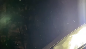 Первый снег в Москве сняли на видео