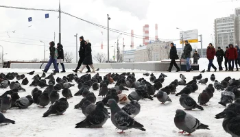 Синоптики пообещали москвичам облачную и морозную погоду без осадков 18 февраля