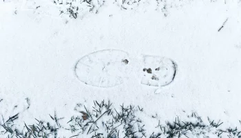 Синоптики спрогнозировали снег и гололедицу в Москве 17 декабря