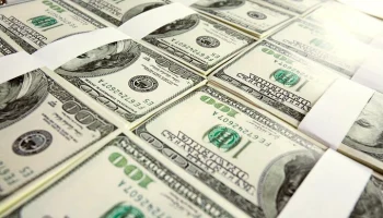 Пассажирка из Грузии пыталась незаконно провезти 105 тысяч долларов во Внуково