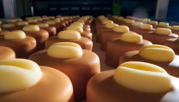 Более чем на 13 процентов вырос товарооборот Москвы и Вьетнама в 2023 году