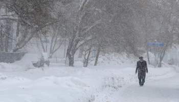 Сотни машин застряли в пробке на трассе М-4 &laquo;Дон&raquo; из-за сильной метели