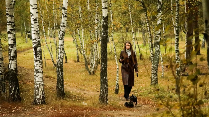 Синоптики сообщили о пасмурной погоде с небольшим дождем в Москве 19 октября Синоптики сообщили о пасмурной погоде с небольшим дождем в Москве 19 октября