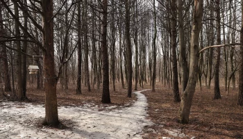 Синоптики спрогнозировали отсутствие осадков в Москве 10 марта
