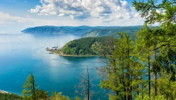 Комитет Госдумы поддержал законопроект о вырубке деревьев в зоне Байкала