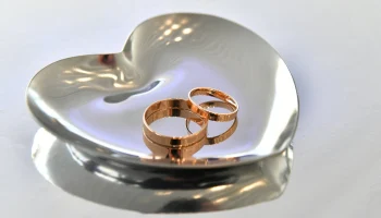 Более 640 церемоний бракосочетания прошло в январские праздники в Москве