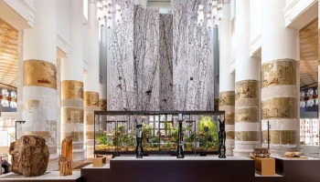 Биологический музей подготовил программу ко Всемирному дню архитектуры