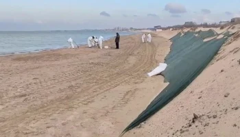 Новые выбросы мазута выявлены на одном участке пляжей Анапы