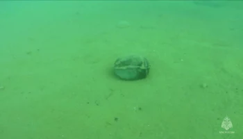 Водолазы МЧС нашли неразорвавшийся кассетный боеприпас в акватории у Севастополя