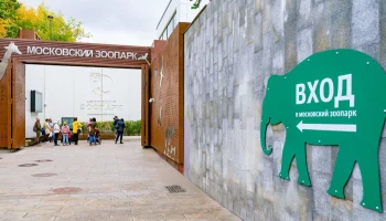 Парковка для экскурсионных автобусов появится около Московского зоопарка