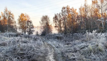 Синоптик Леус рассказал, когда в Москву придут ночные заморозки