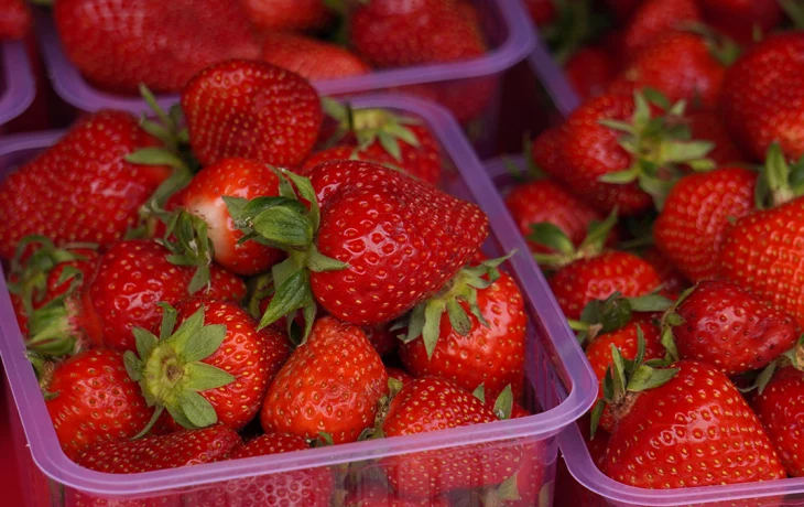 Стало известно, когда в магазинах начнут продавать подмосковную клубнику Стало известно, когда в магазинах начнут продавать подмосковную клубнику