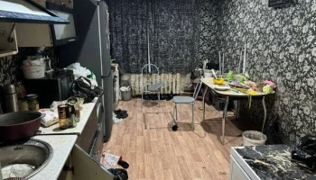 Средство от насекомых могло стать причиной гибели детей в поселке под Красноярском