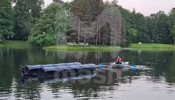Перевернувшийся на пруду в Царском Селе понтон принадлежит частному подрядчику