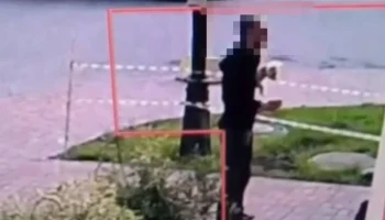 В Петербурге неизвестный украл собаку, пока владельцы заносили домой сумки