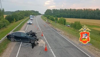 Мужчина и ребенок погибли в ДТП с микроавтобусом в Подмосковье