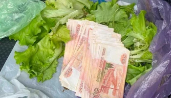 Мужчина в Перми попытался дать сотруднику ФНС взятку в листьях салата