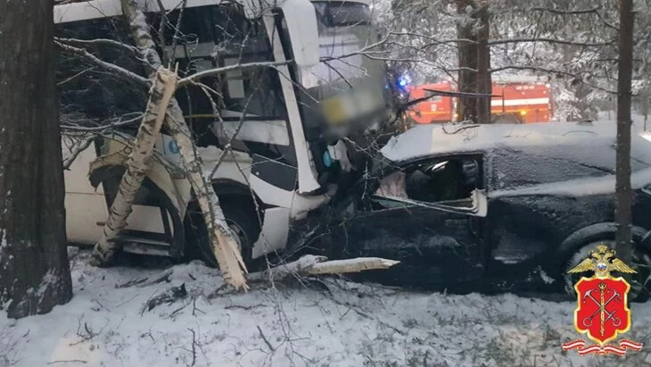 Один человек погиб в ДТП с автобусом в Ленинградской области